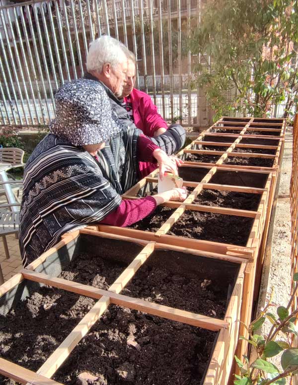 Residentes trabajan plantando semillas en el parterre del huerto
