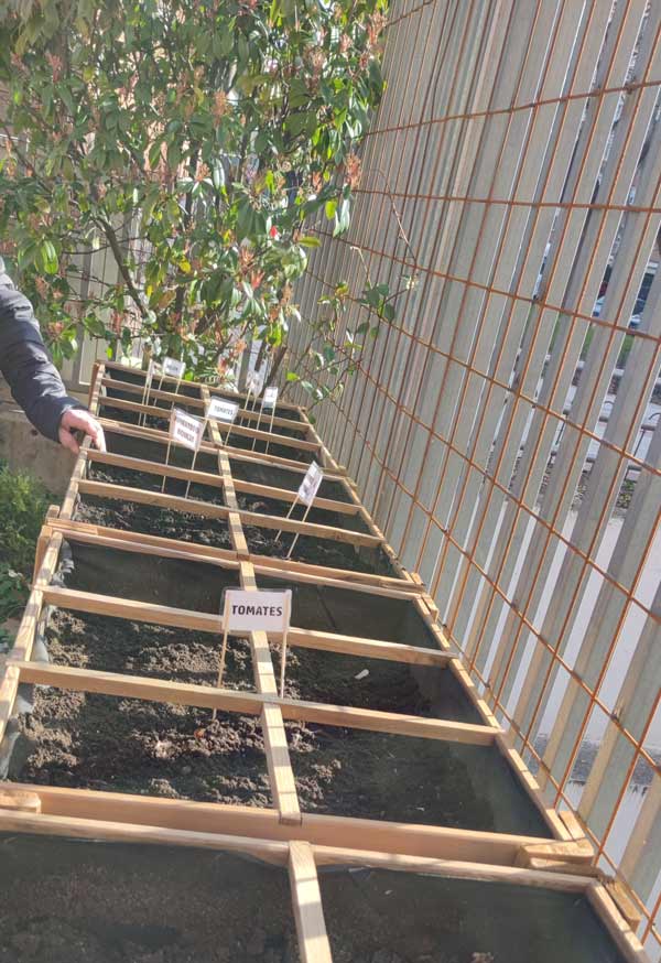 Huerto en parterre en Torrejón-Edalia