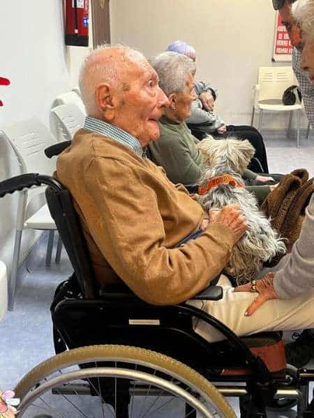 Residente sostiene a un perrito de terapia