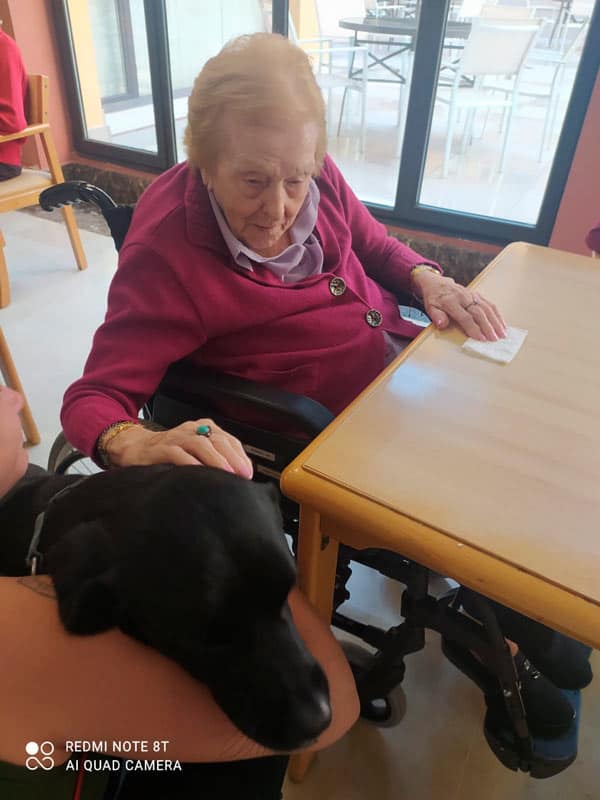 Una residente acaricia de forma amorosa al labrador