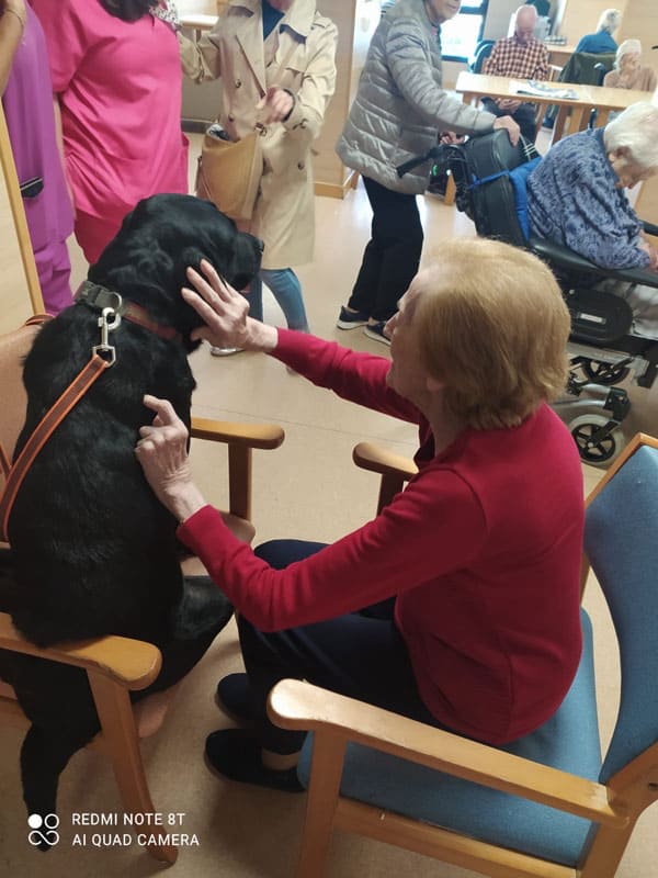 En septiembre probamos, por primera vez, la terapia con animales