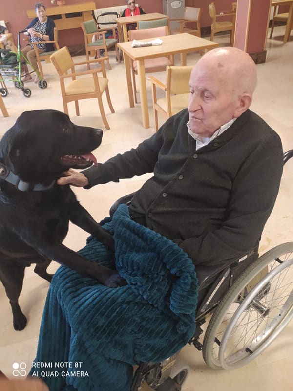 Los perritos interactuaron con los residentes