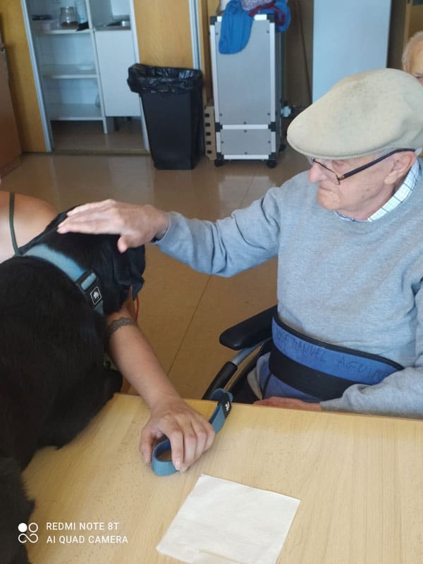 Un residente acaricia el perro labrador de color negro