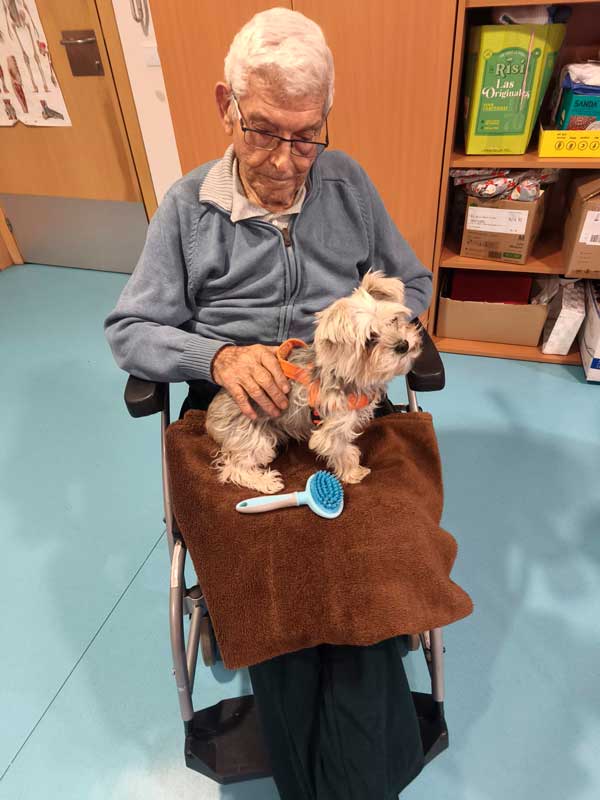 Terapia con animales en Torrejón-Edalia