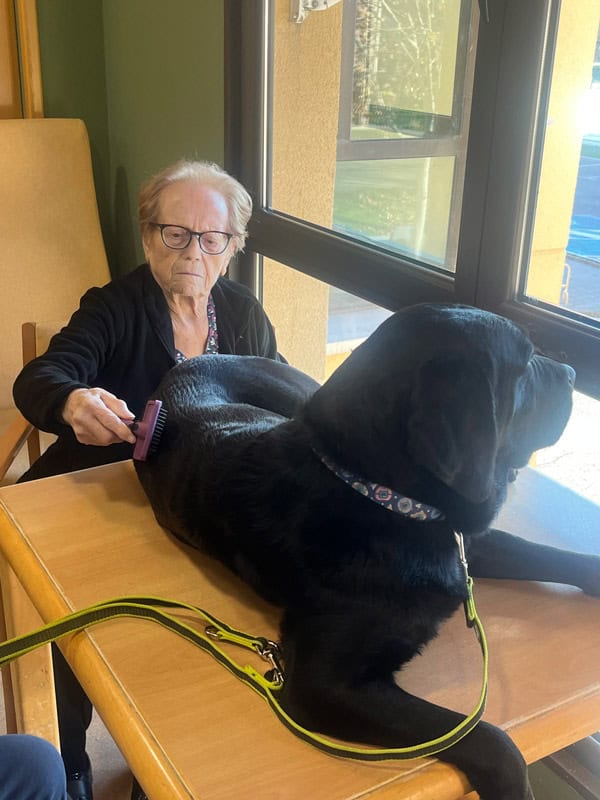 Un perrito interactúa con una residente