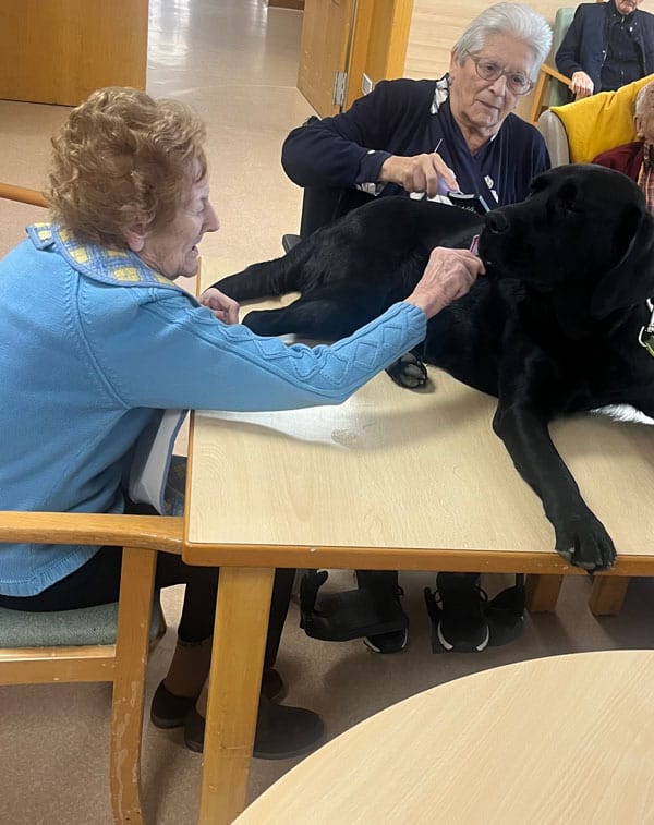 Otros residentes acarician al perrito de terapia