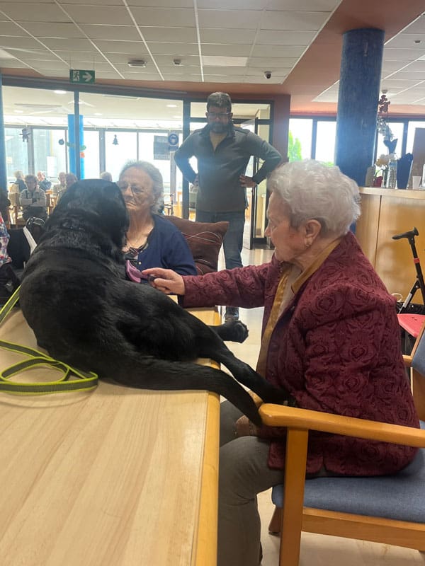 Otros residentes se muestran felices al interactuar con el perrito