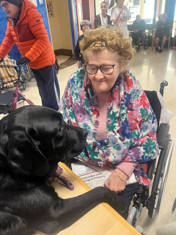 Sesión de terapia con animales en la Navidad de 2024