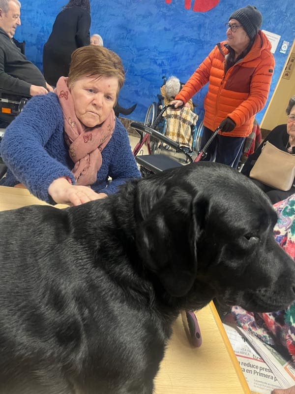 Otra residente dice adiós al perrito de terapia, hasta otro día