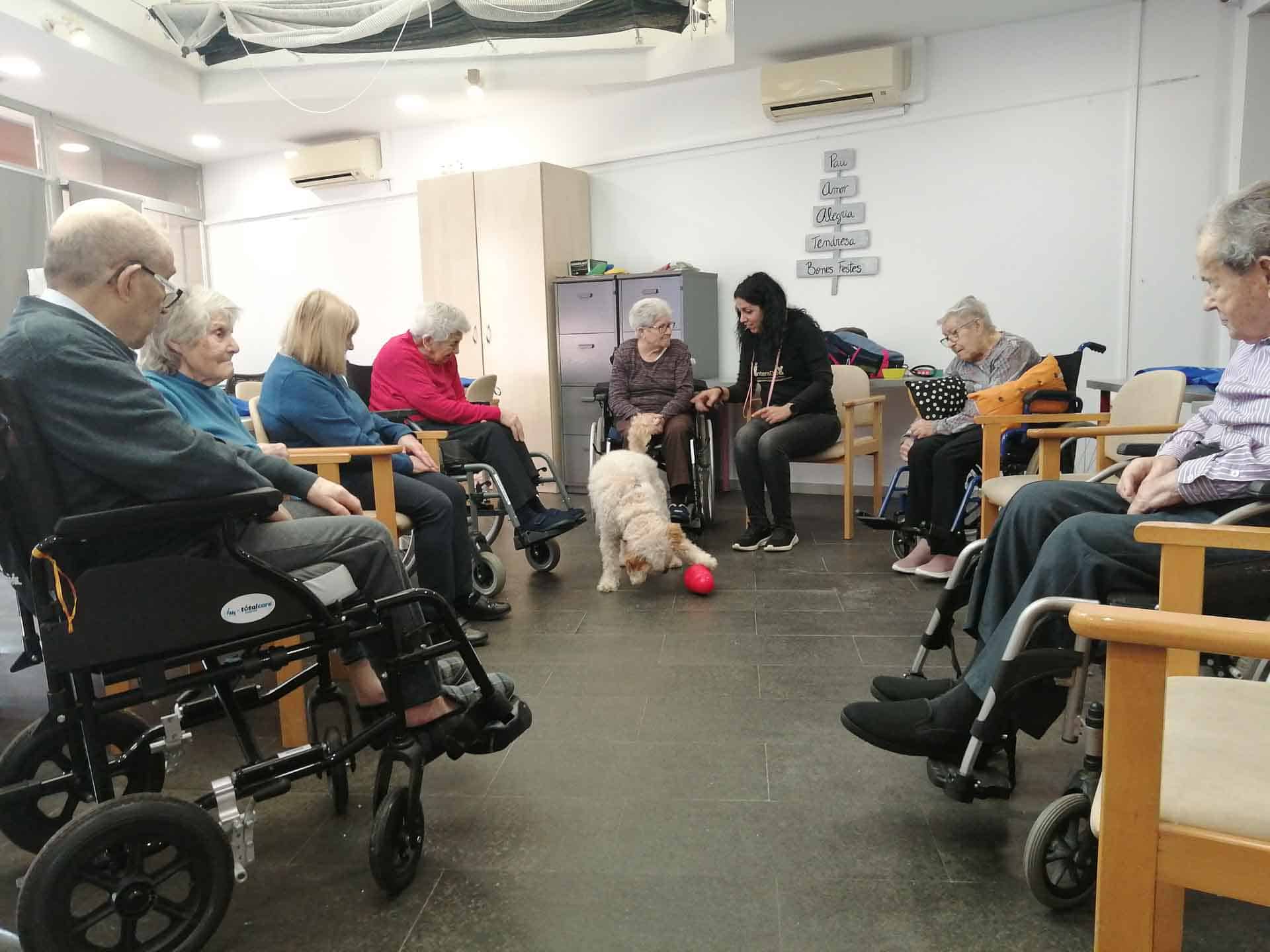 Terapia con animales en Sant Boi Benviure
