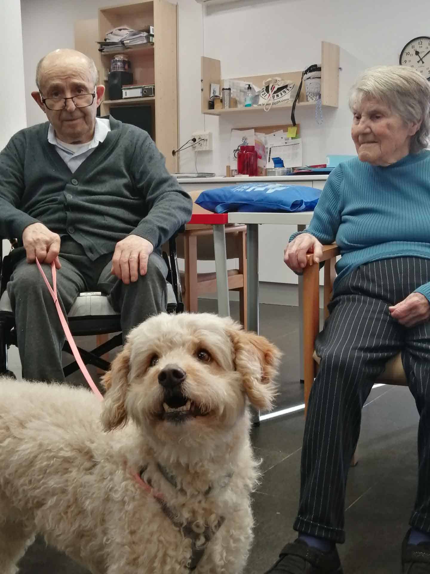 Residentes acarician a un perrito