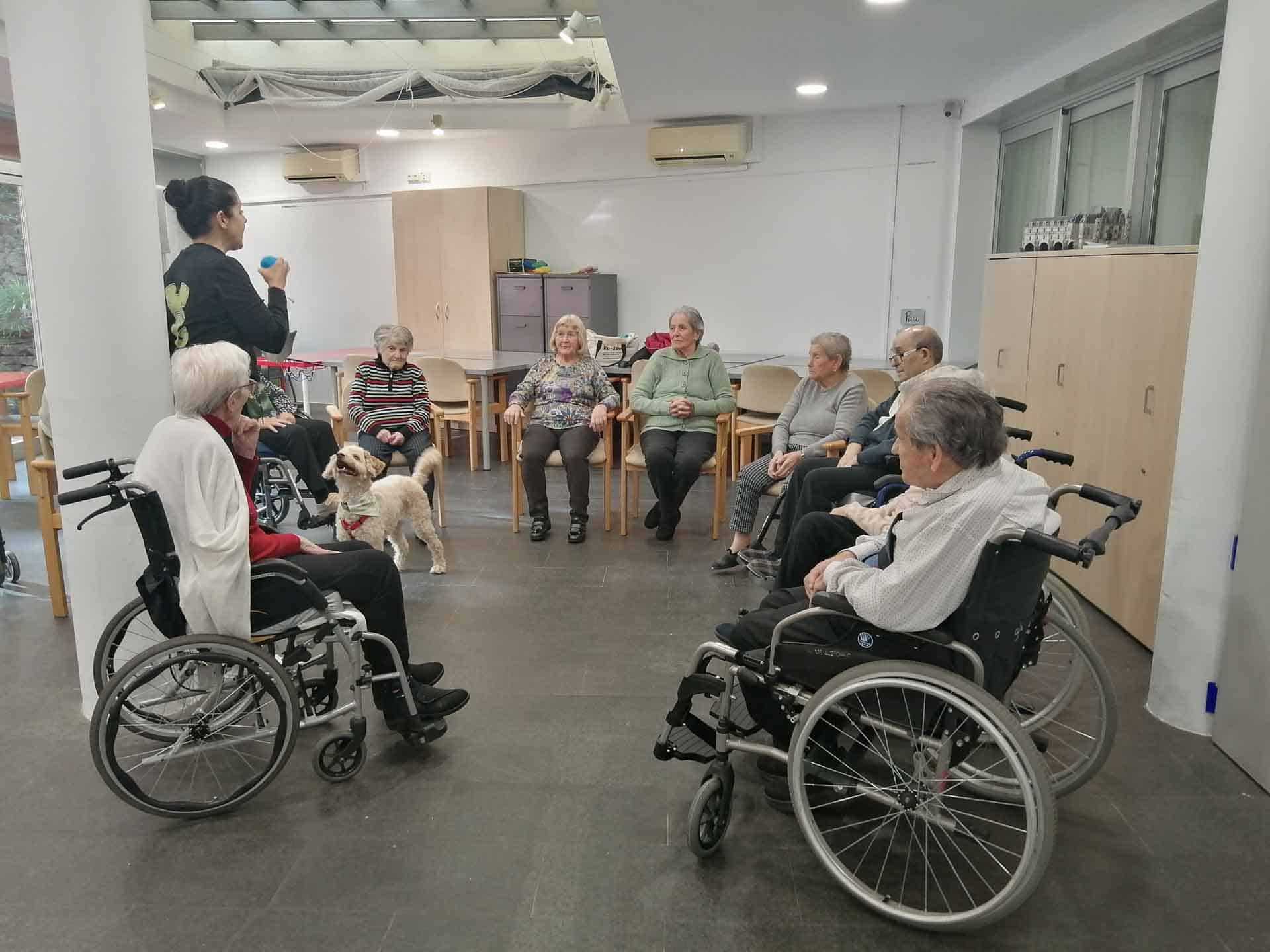 Más imágenes de la sesión navideña de terapia con animales