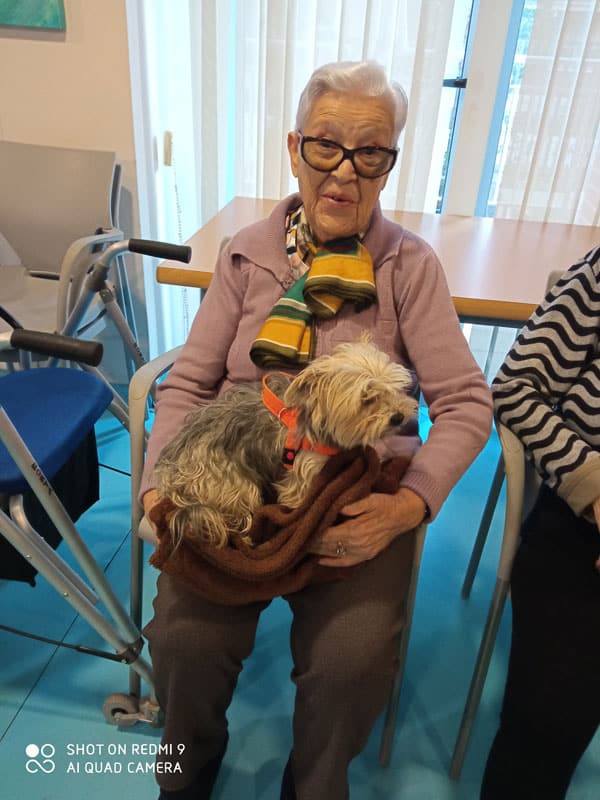 Sesión de terapia con animales en Torrejón-Edalia