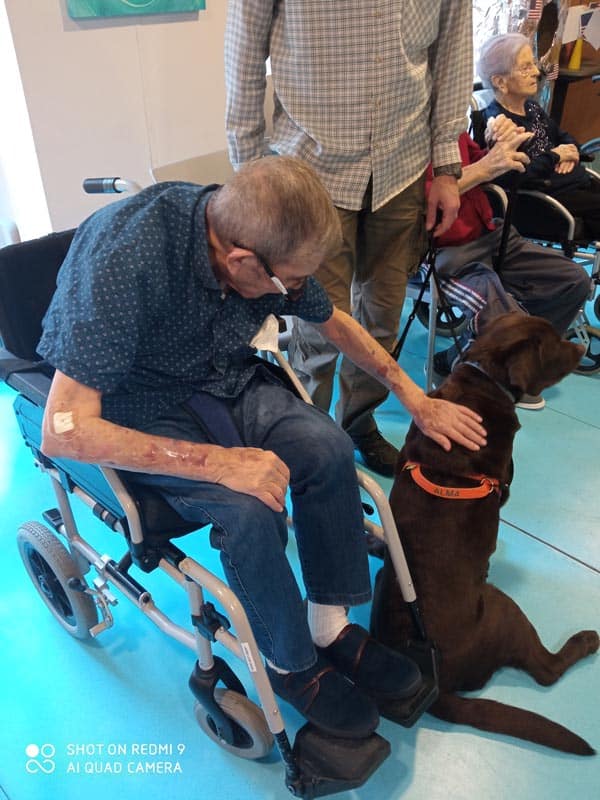 Un residente en silla de ruedas acaricia a un perro de terapia