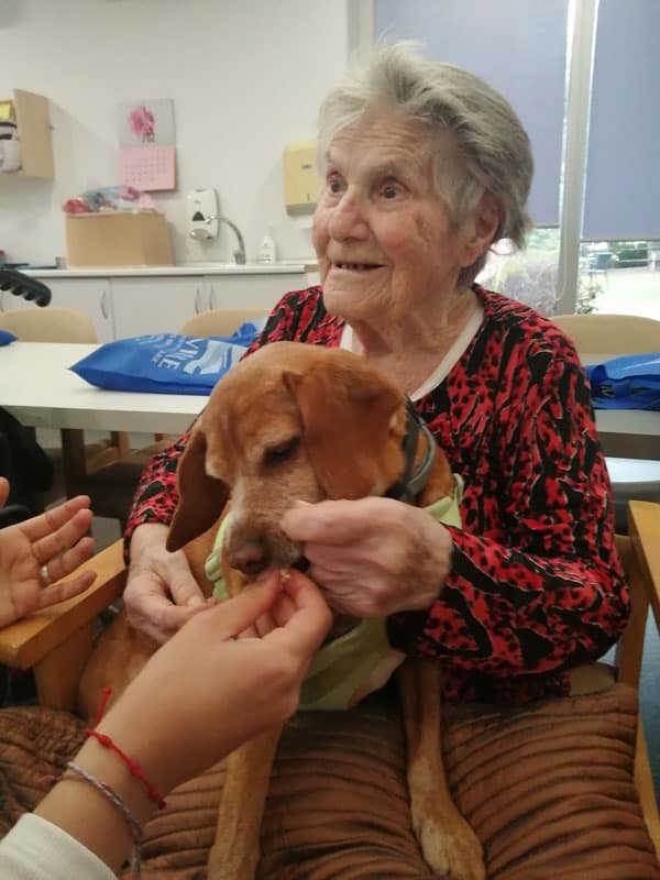 Terapia con animales en Benviure