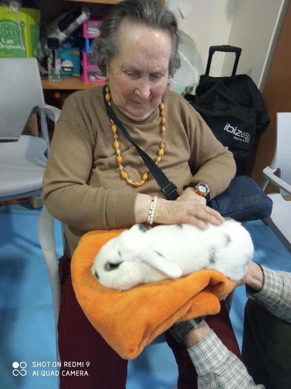 Conejitos también son mascotas de terapia