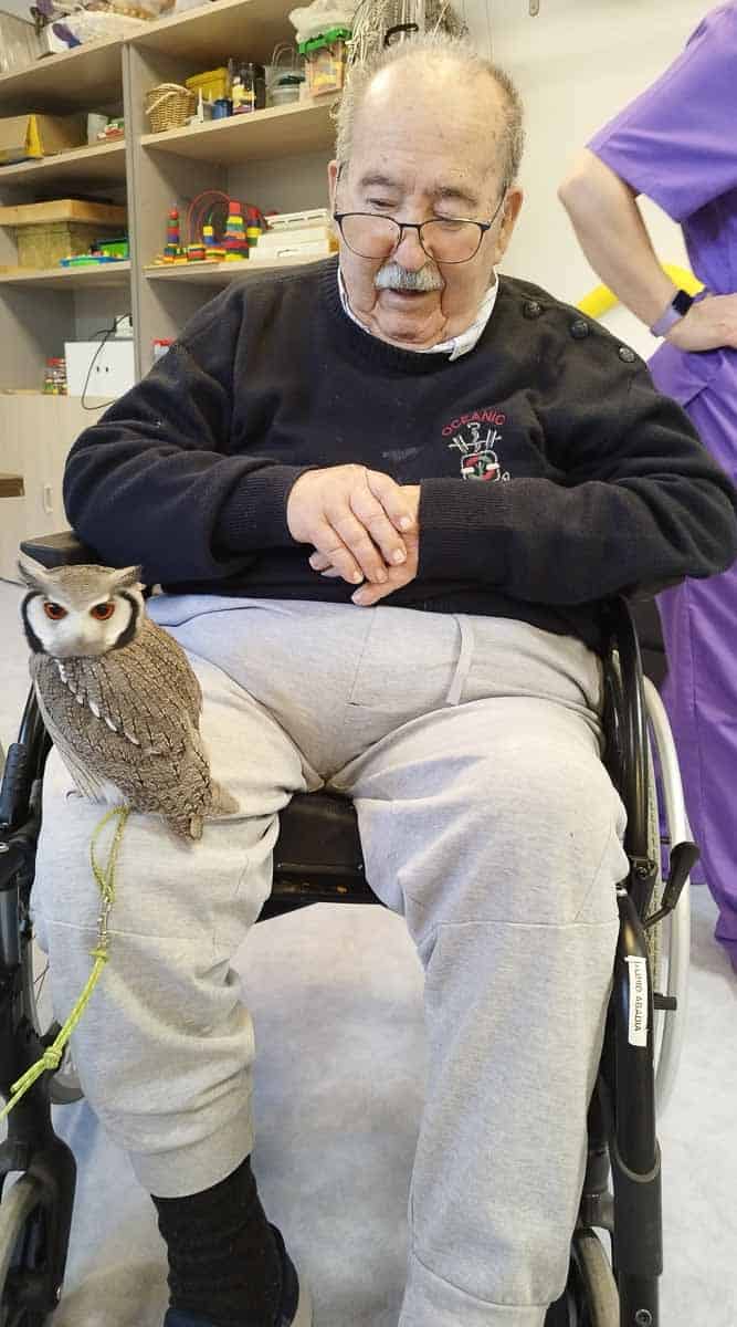 Búho de terapia asistida