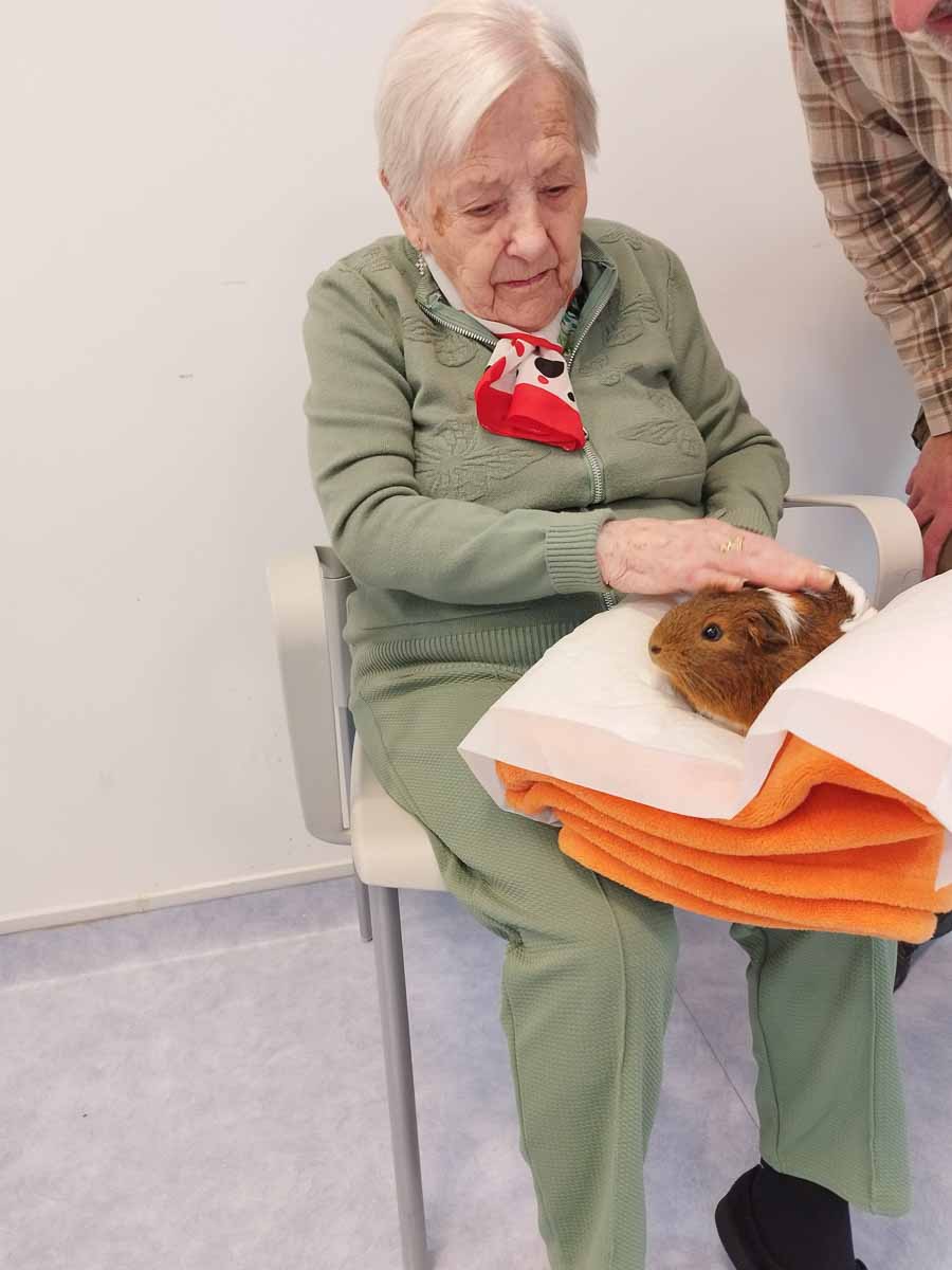 Una residente acaricia muy suavemente a un conejo