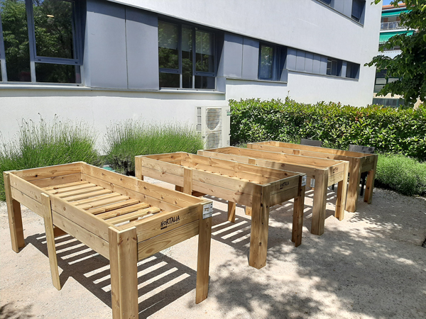 Preparación del nuevo huerto en Madrid-Edalia