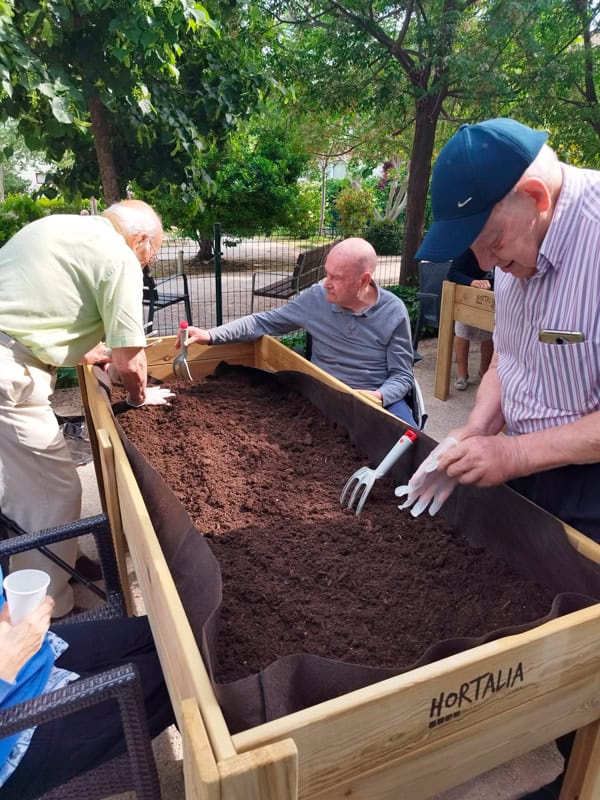 Residentes se esfuerzan para hacer crecer el nuevo huerto