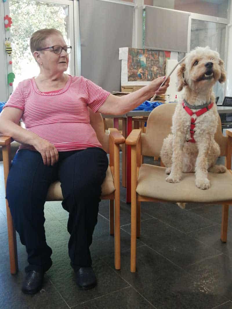 Despedida de los perros de terapia