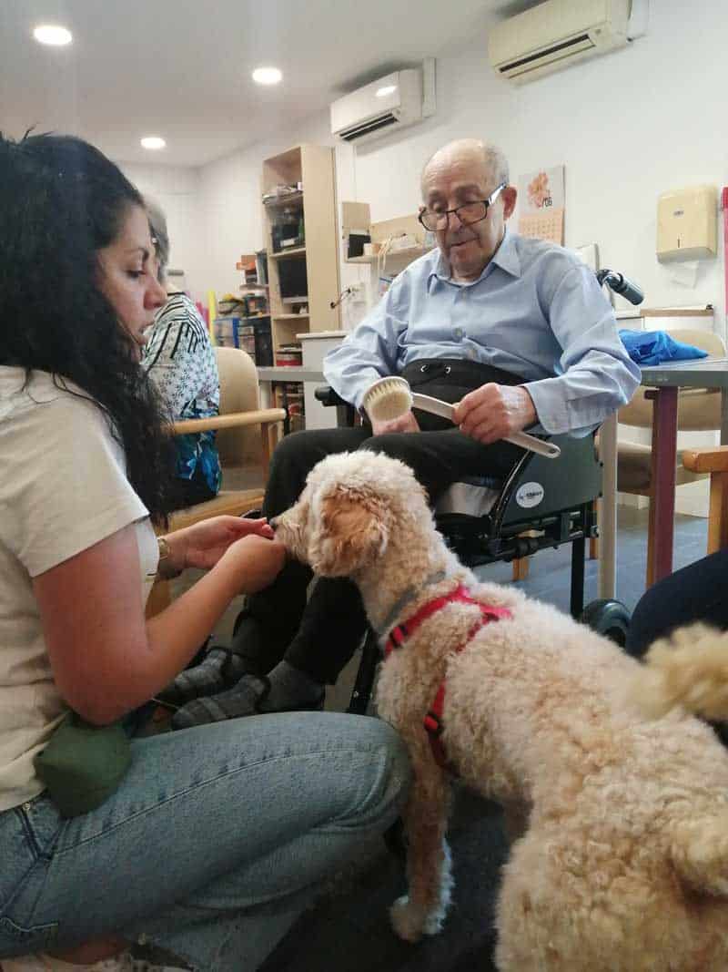 Última sesión antes de verano de terapia con animales