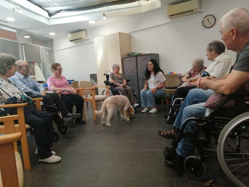 Un grupo de residentes disfrutan de la terapia con animales