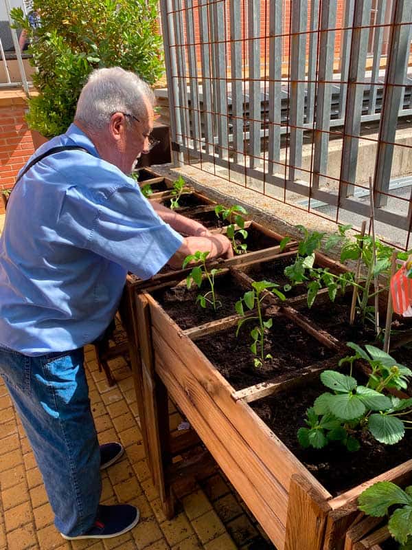 Actividad en el huerto