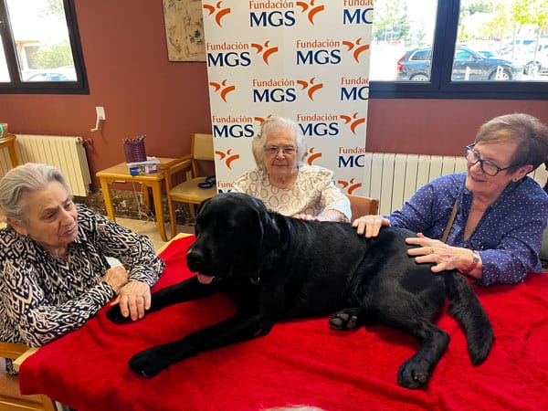 Residentes acarician a un perro de terapia