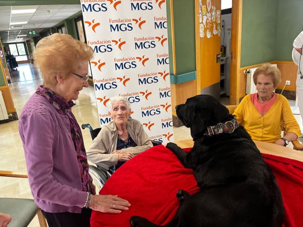 Residentes sonríen a un labrador negro que es un perro de terapia