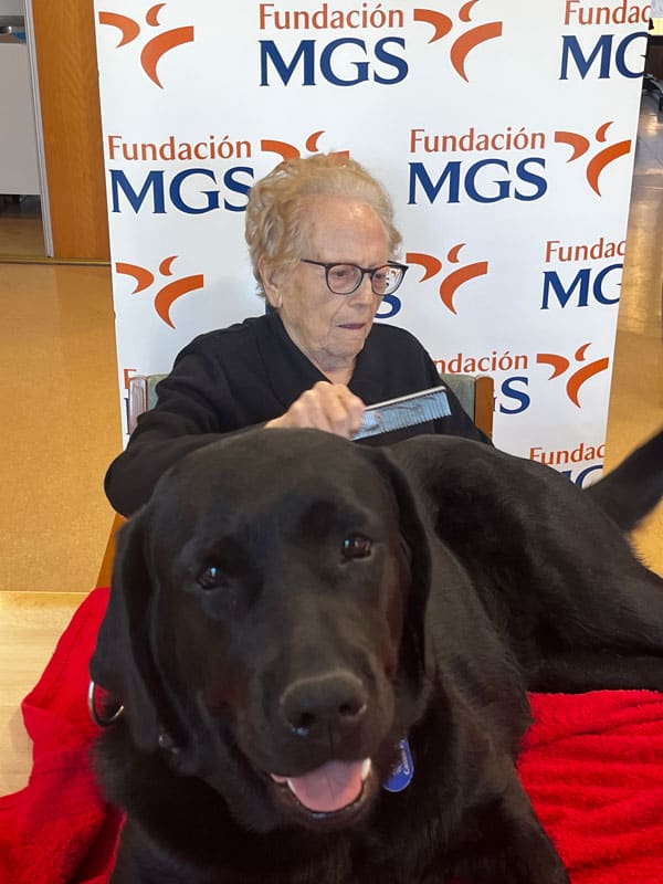 Una residente peina al perrete de terapia