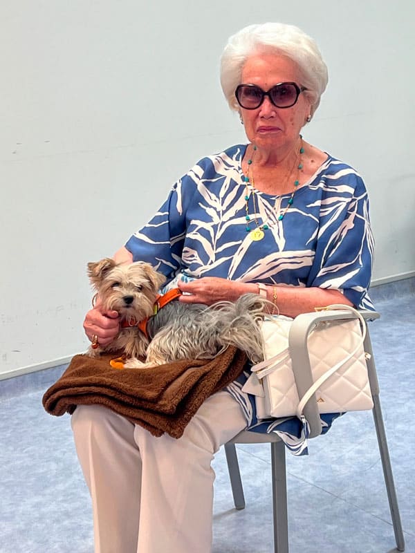 Sesión de terapia con animales