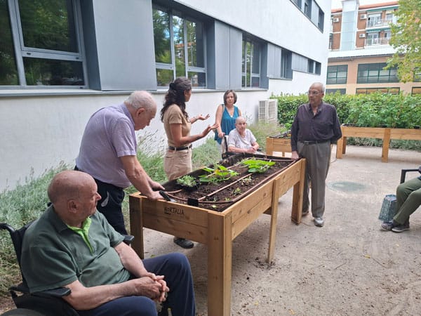 El proyecto MGS Sembrando avanza