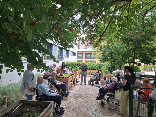 Personas mayores disfrutando al aire libre en un entorno comunitario de MGS Seniors.
