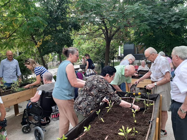 Imagen de la cosecha de verano del huerto