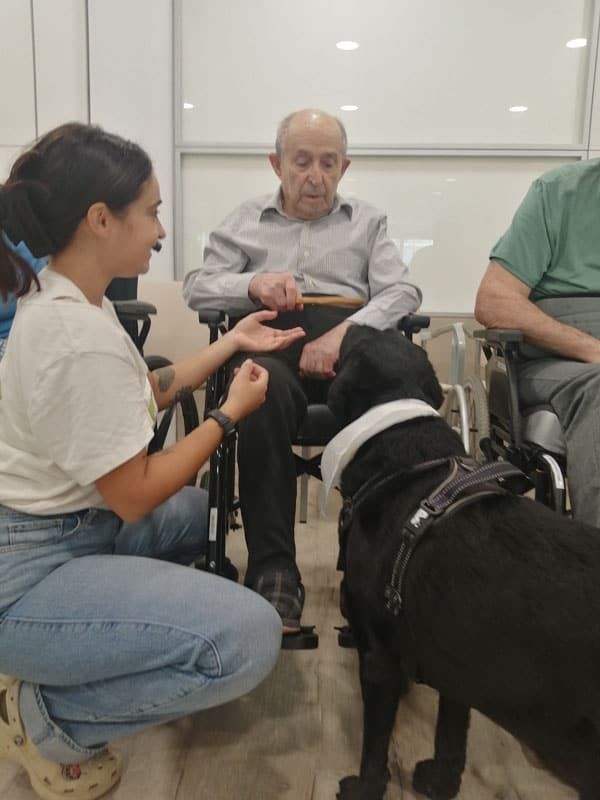 Sesión de terapia con animales otoñal