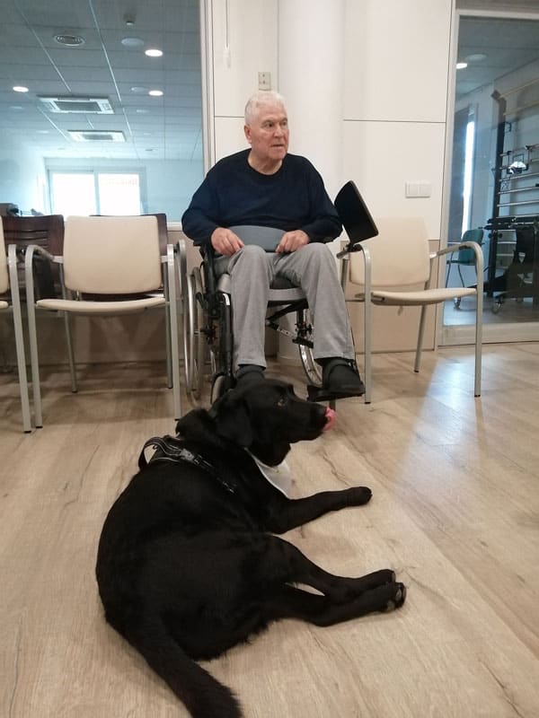 Un perrete de terapia interactúa con un residente