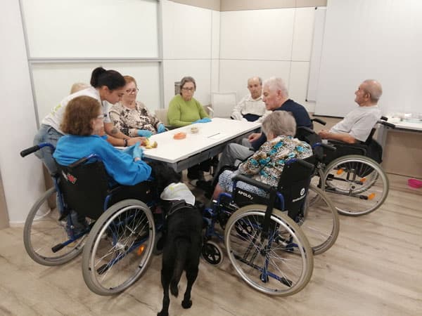 Alto: Grupo de adultos mayores en una sala de actividades, algunos en sillas de ruedas.