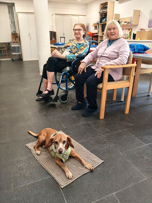 Una cumpleañera sonría a cámara