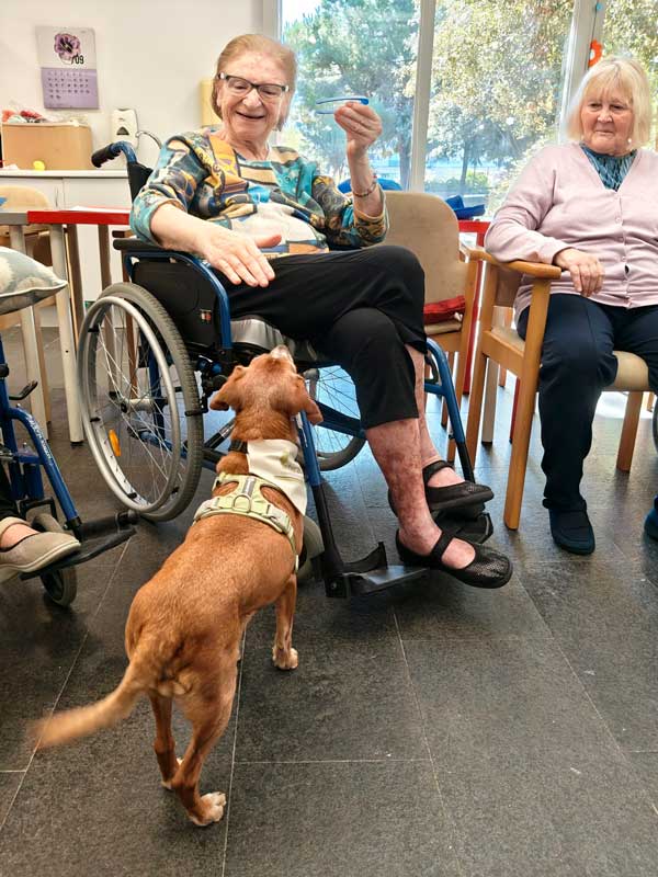 Cloe interactúa con los residentes