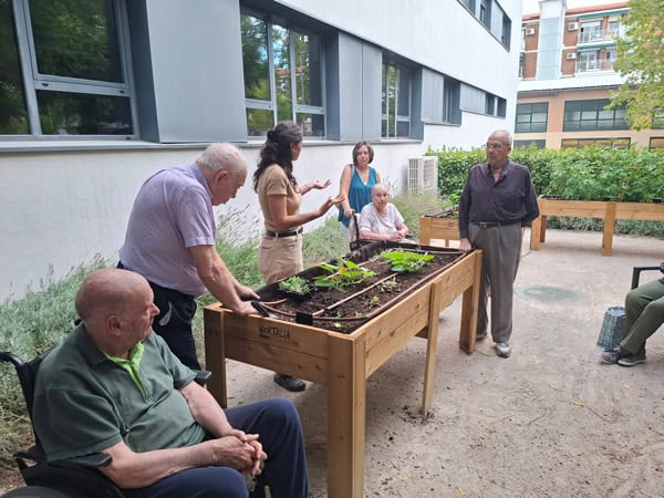 Proyecto MGS Sembrando