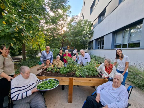 Proyecto de huerto en el jardín