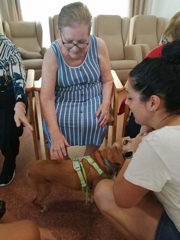 Nueva sesión de terapia con perros