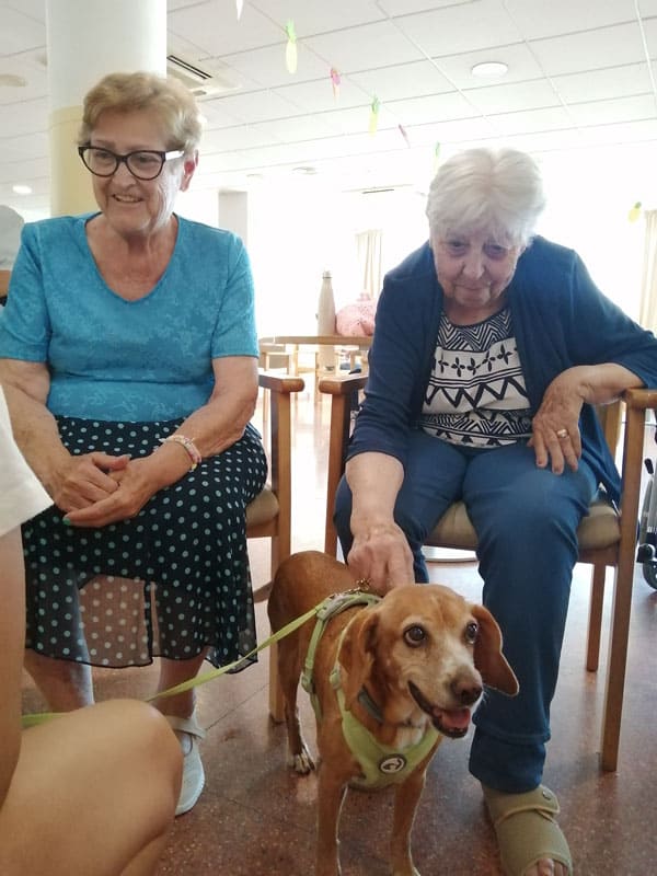 Los residentes felices pudiendo interactuar con el perro de terapia