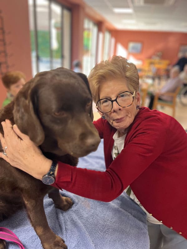 Menta y roscón son los perritos de terapia