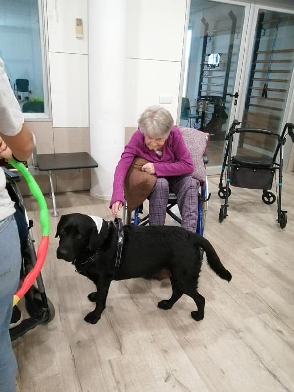 Milo interactúa con una residente