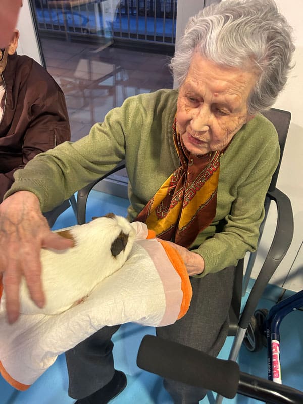 Sesión de terapia con un buho