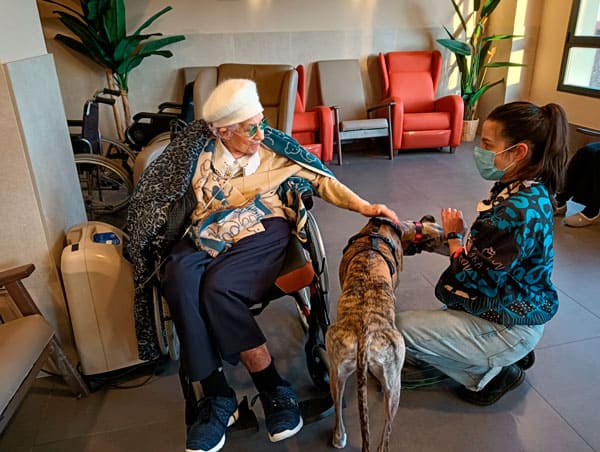 Nueva sesión de terapia con animales en Madrid-Edalia