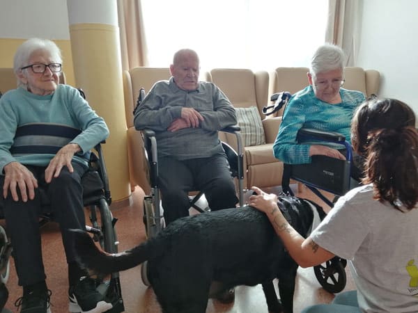 Nueva sesión de terapia con Milo