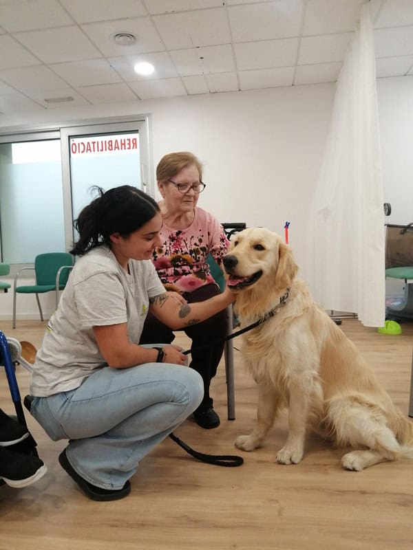 Perro de terapia con residente mayor.